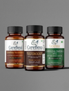 Testo + Multivitamin + Veg Omega Combo | Complete Men's Health & Wellness Pack