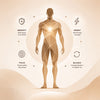 Careflexa Multivitamin | Daily Wellness Supplement for Active Lifestyle